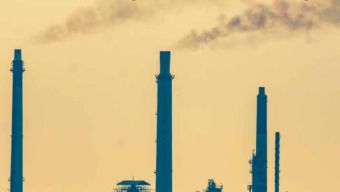 INSiGHT Issue 27 (January 2023)