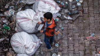 Insight Issue 12 – August 2020