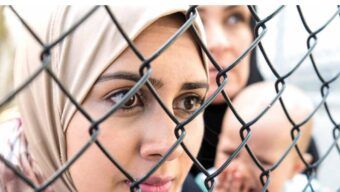 Insight Issue 13 – October 2020