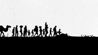 Insight Issue 14 – December 2020