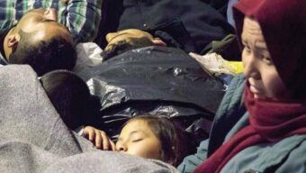 Insight Issue 18 – August 2021