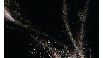 Insight Issue 2 – December 2018